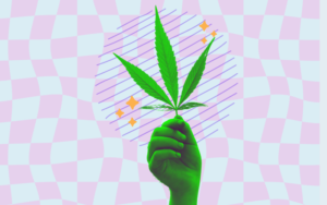 Abstract art work of a woman holding a cannabis plant to for an article talking about the essentials of cannabis ERP