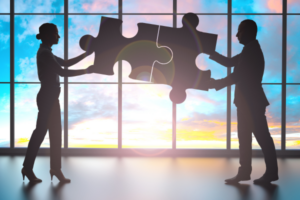 chemical ERP implementation partner